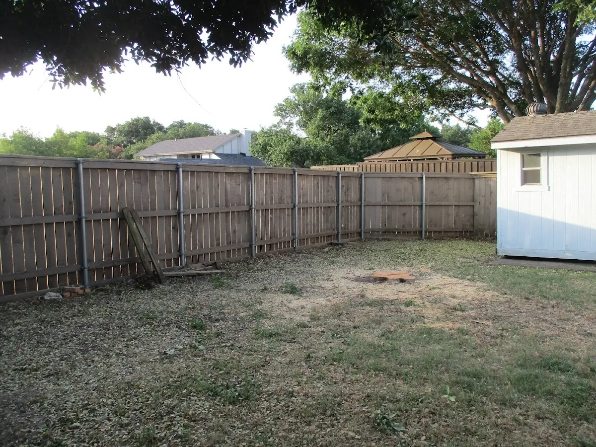 Cleared yard after professional tree removal in Margarettsville
